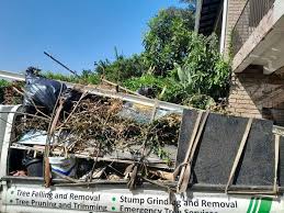 Professional Junk Removal in Waynesboro, GA